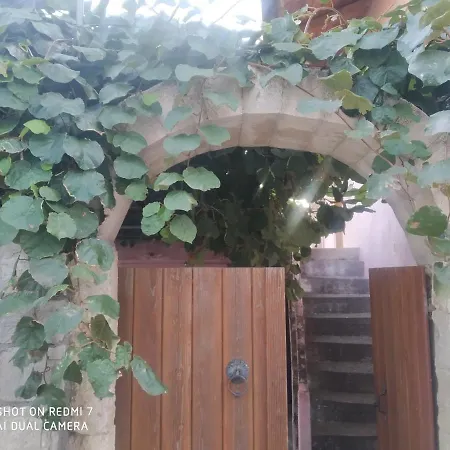 George Traditional Chalet Maroulou